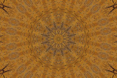 bir ağaç, bir yıllık topluluk kesim