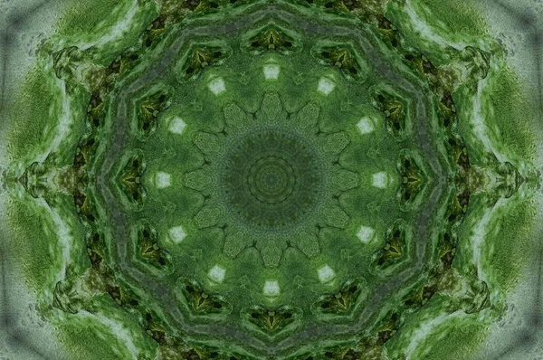 Konsistens Grön Vägg Från Mögel Och Moss — Stockfoto