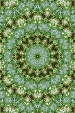 küf ve yosun yeşil duvar dokusu