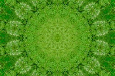 yeşil ton duvar arka plan