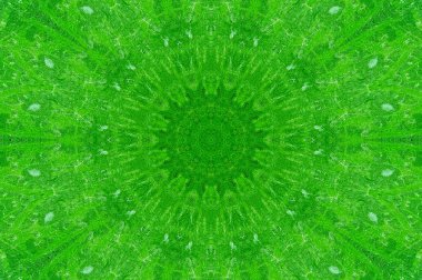 yeşil ton duvar arka plan