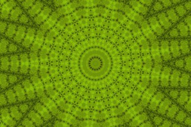 boya ile yeşil sıva