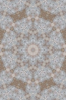 ahşap ağaç kesme çatlaklar ile yüzük