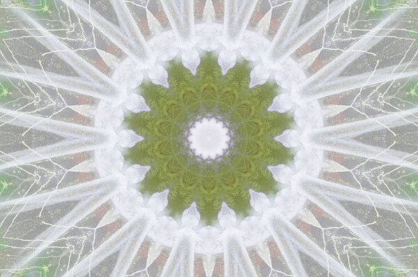 green tone wall background