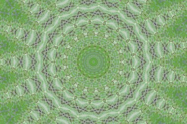 boya ile yeşil sıva