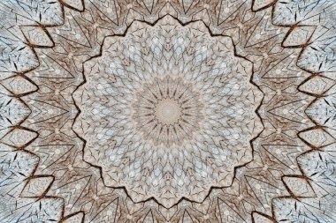 bir ağaç, bir yıllık topluluk kesim