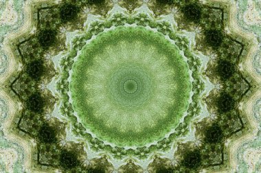 küf ve yosun yeşil duvar dokusu