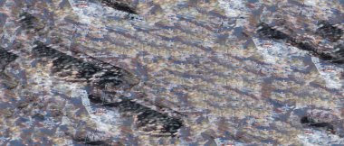 Soyut Renkli Fon duvar kağıdı