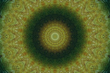 bir ağaç, bir yıllık topluluk kesim