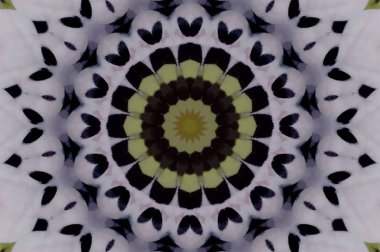 boyalı duvar arka plan