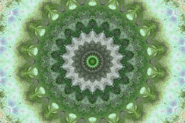 küf ve yosun yeşil duvar dokusu