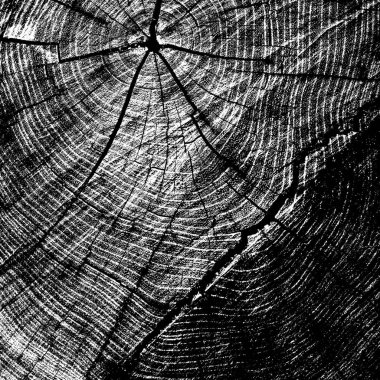 Siyah beyaz monokrom eski grunge vintage eskimiş arka plan soyut antika desenli retro model