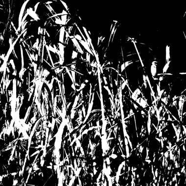 Siyah beyaz monokrom eski grunge vintage eskimiş arka plan soyut antika desenli retro model