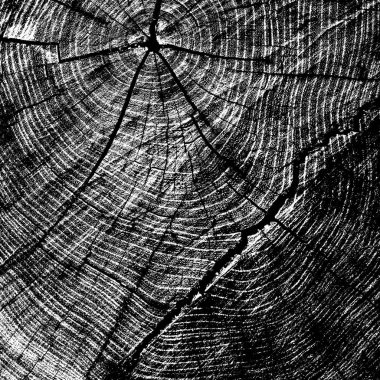 Siyah beyaz monokrom eski grunge vintage eskimiş arka plan soyut antika desenli retro model