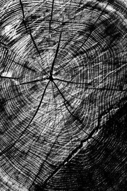 Siyah beyaz monokrom eski grunge vintage eskimiş arka plan soyut antika desenli retro model