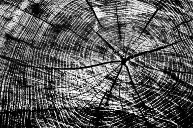 Siyah beyaz monokrom eski grunge vintage eskimiş arka plan soyut antika desenli retro model