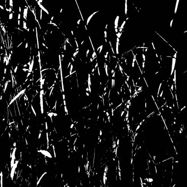 Siyah beyaz monokrom eski grunge vintage eskimiş arka plan soyut antika desenli retro model