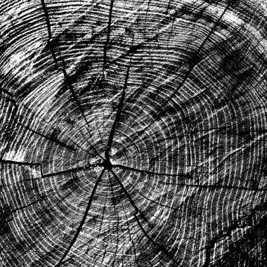 Siyah beyaz monokrom eski grunge vintage eskimiş arka plan soyut antika desenli retro model