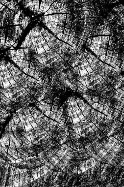 yüksek kaliteli siyah ve beyaz kızılötesi arkaplan grunge dokusu