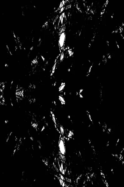 Preto Branco Monocromático Velho Grunge Vintage Resistiu Fundo Abstrato Textura — Fotografia de Stock