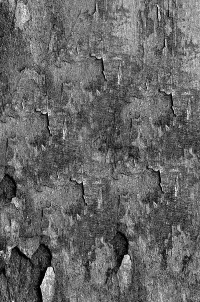 Zwart Wit Monochroom Oude Grunge Vintage Verweerde Achtergrond Abstracte Antieke — Stockfoto