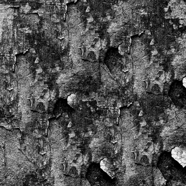 Bianco Nero Monocromatico Vecchio Grunge Vintage Alterato Sfondo Astratto Struttura — Foto Stock