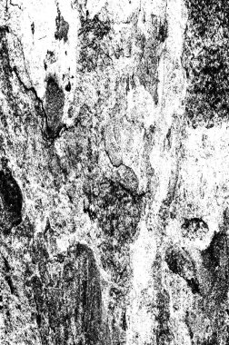 Siyah beyaz monokrom eski grunge vintage eskimiş arka plan soyut antika desenli retro model