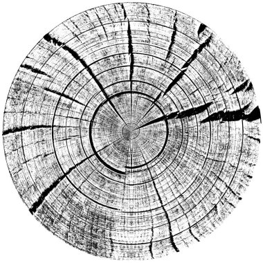 yüksek kaliteli siyah ve beyaz kızılötesi arkaplan grunge dokusu