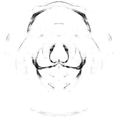 yüksek kaliteli siyah ve beyaz kızılötesi arkaplan grunge dokusu