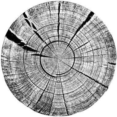 Siyah beyaz monokrom eski grunge vintage eskimiş arka plan soyut antika desenli retro model