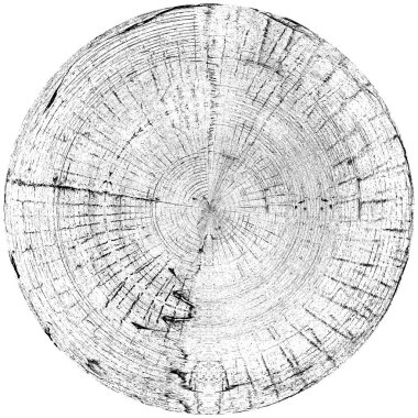 Siyah beyaz monokrom eski grunge vintage eskimiş arka plan soyut antika desenli retro model