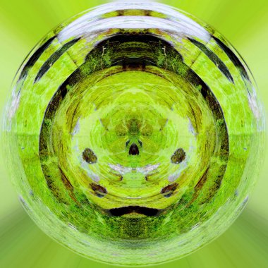 Çınar kabuk dokusu