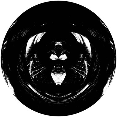 Soyut mürekkep lekesi. Grunge Kara Fırça Örnekleri. Koyu renk boya dokusu beyaza izole edilmiş. Ögeyi Ört