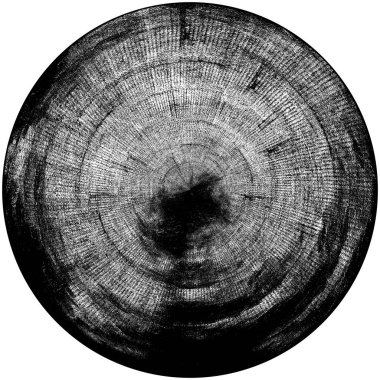 Döküntü boya ve alçı çatlaklarının dokusu