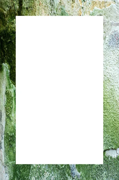 Textur Einer Grünen Wand Aus Schimmel Und Moos — Stockfoto