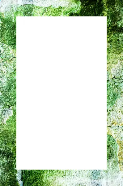 Textura Pared Verde Del Moho Musgo —  Fotos de Stock
