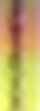 Soyut, renkli arkaplan. Metniniz için basit çok renkli duvar kağıdı.