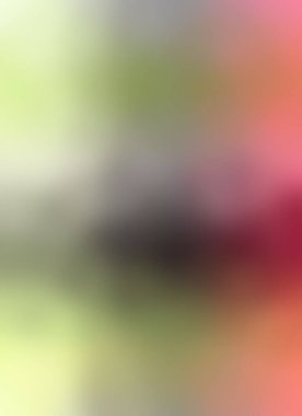 Modern gradyan çok renkli arkaplan. Tasarımınız için kopya alanı ile boyanmış duvar kağıdı.