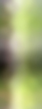 Soyut, renkli arkaplan. Metniniz için basit çok renkli duvar kağıdı.