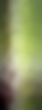 Modern gradyan çok renkli arkaplan. Tasarımınız için kopya alanı ile boyanmış duvar kağıdı.