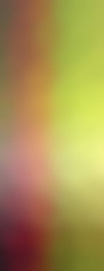 Modern gradyan çok renkli arkaplan. Tasarımınız için kopya alanı ile boyanmış duvar kağıdı.