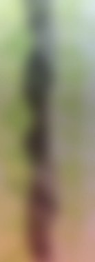 Soyut, renkli arkaplan. Metniniz için basit çok renkli duvar kağıdı.