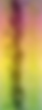 Soyut, renkli arkaplan. Metniniz için basit çok renkli duvar kağıdı.