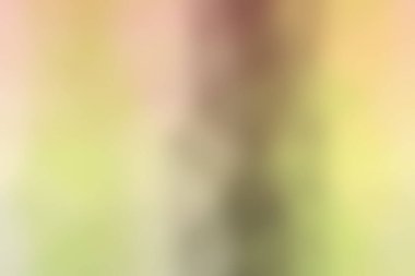 Modern gradyan çok renkli arkaplan. Tasarımınız için kopya alanı ile boyanmış duvar kağıdı.