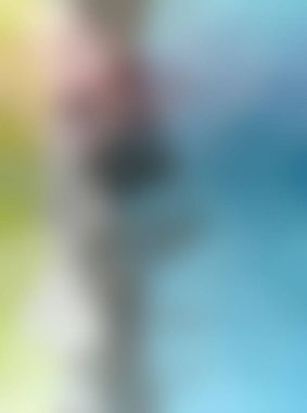 Modern gradyan çok renkli arkaplan. Tasarımınız için kopya alanı ile boyanmış duvar kağıdı.