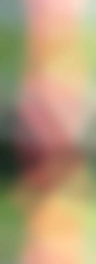 Soyut, renkli arkaplan. Metniniz için basit çok renkli duvar kağıdı.