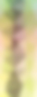 Soyut, renkli arkaplan. Metniniz için basit çok renkli duvar kağıdı.