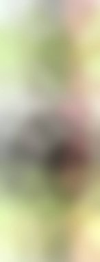 Grunge soyut karışık renkli arka plan. Arka plan için modern fütürist duvar ya da fotokopi alanı olan duvar kağıdı. Renkli resim