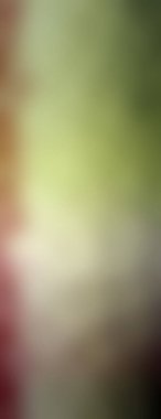 Modern gradyan çok renkli arkaplan. Tasarımınız için kopya alanı ile boyanmış duvar kağıdı.