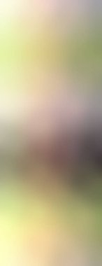 Soyut, renkli arkaplan. Metniniz için basit çok renkli duvar kağıdı.